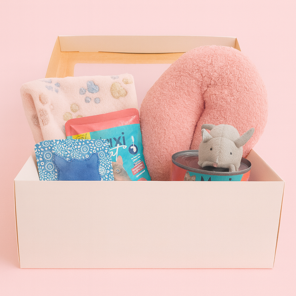 Senior Wellness – Gatos