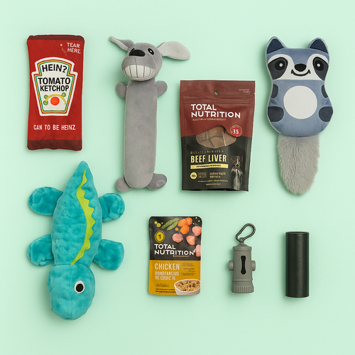 Fun Pack para Perros  🐾