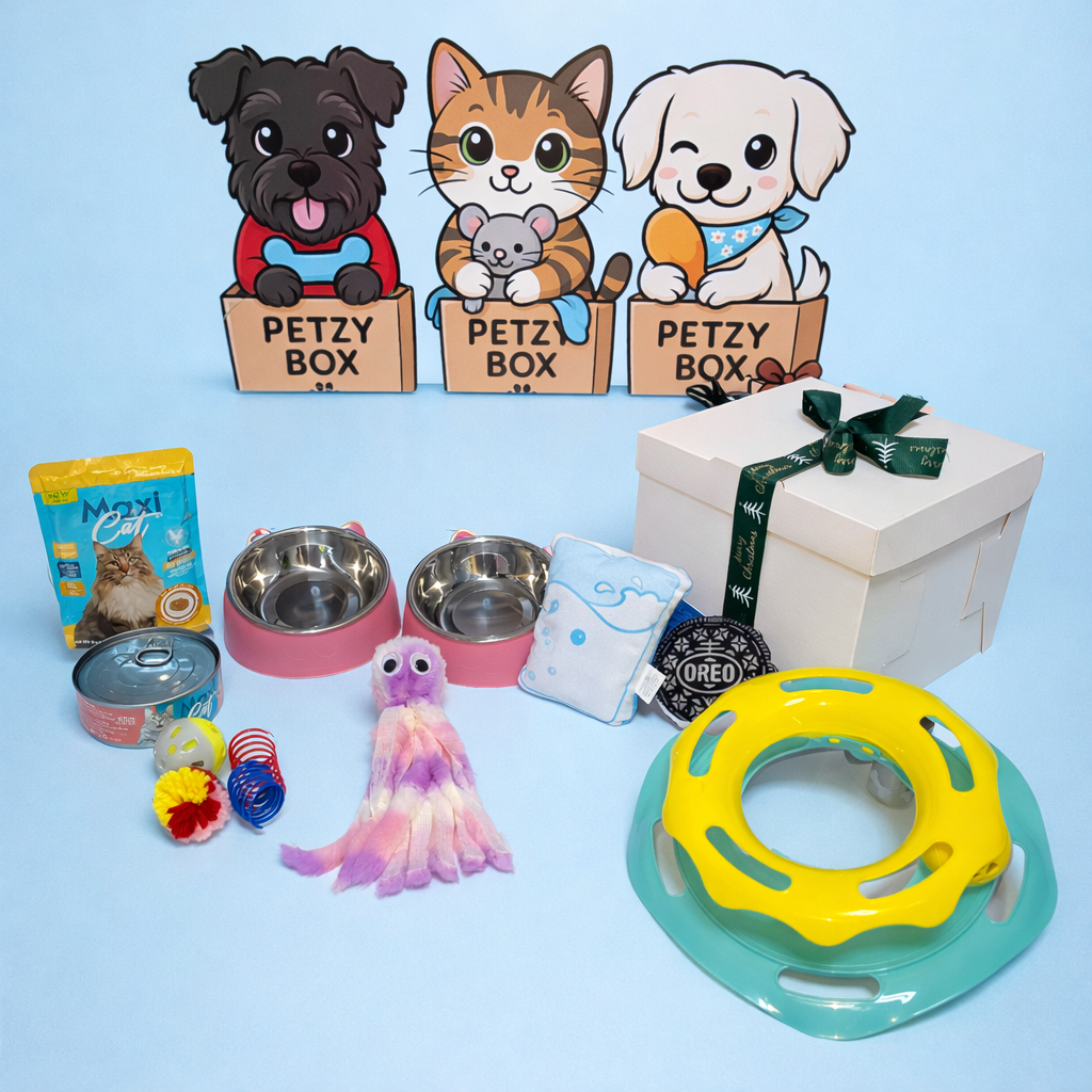 Petzy Box Cat Fun ✨