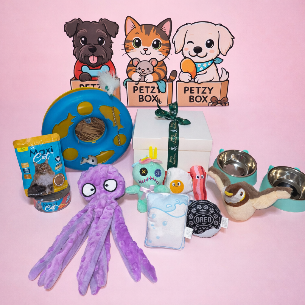 Petzy Box Cat Deluxe ✨