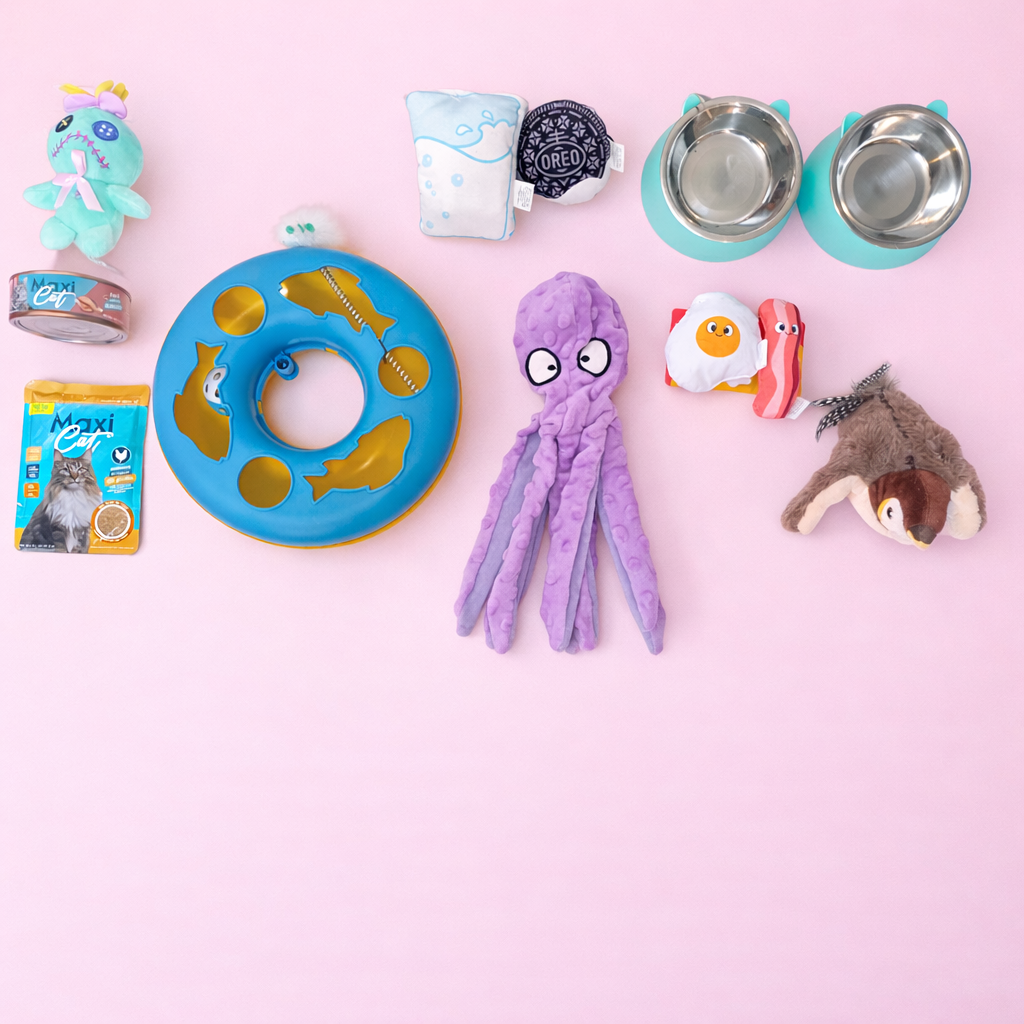 Petzy Box Cat Deluxe ✨