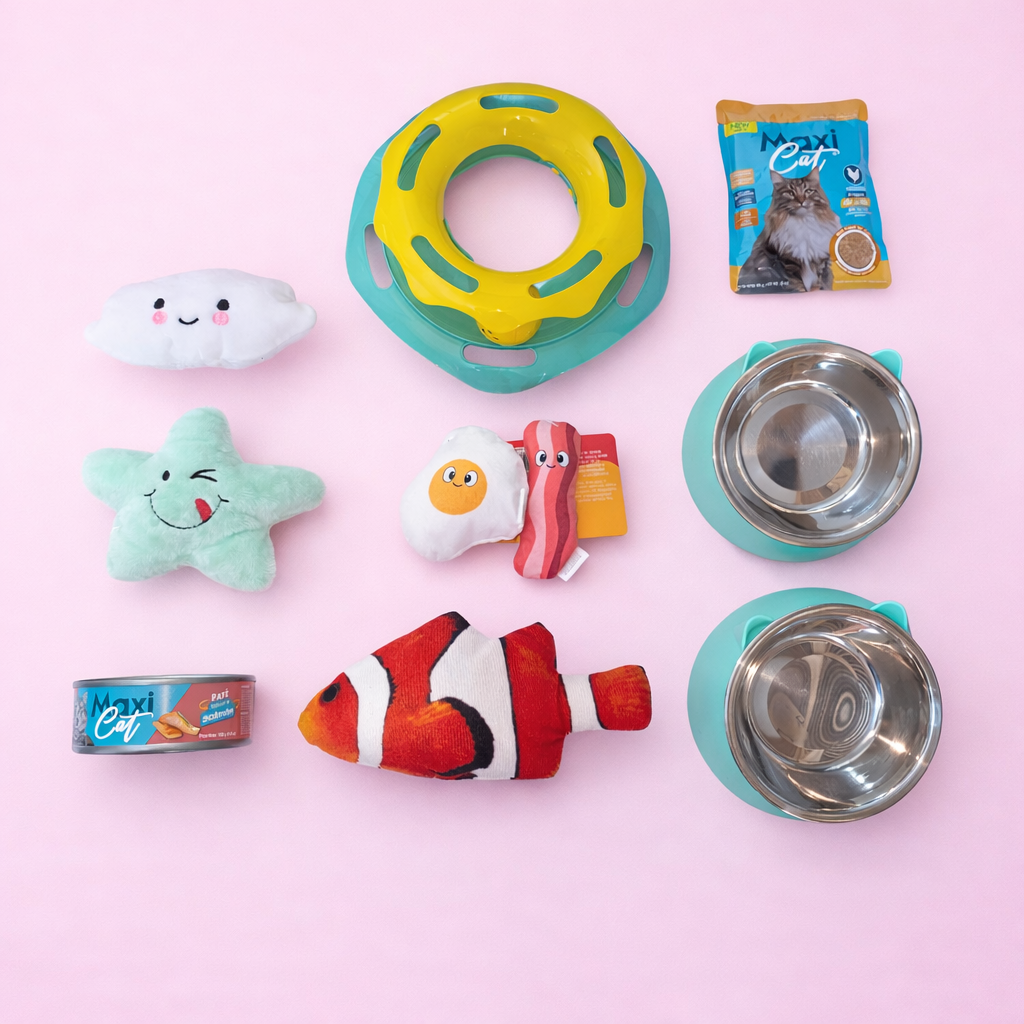 Petzy Box Cat Dream 🌸