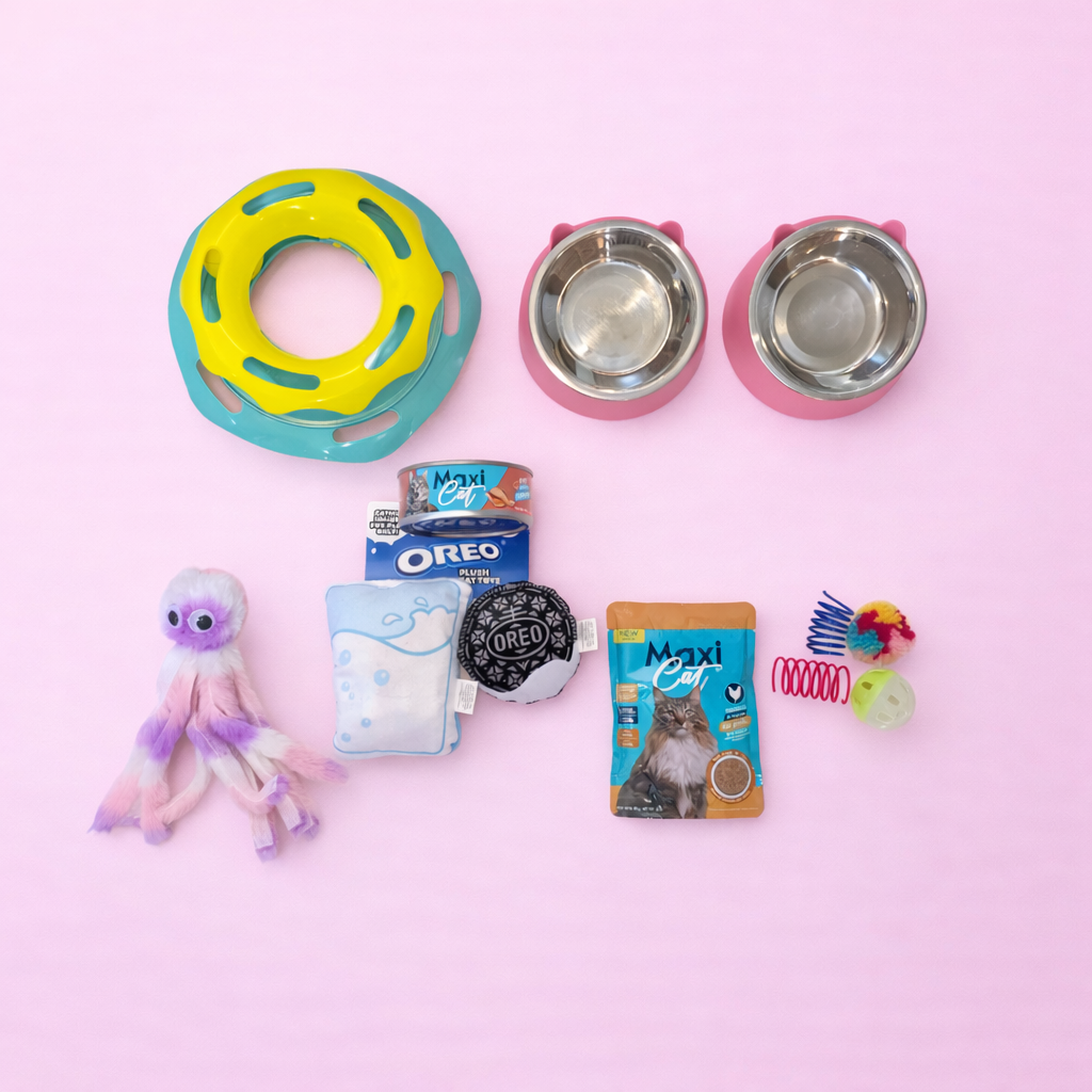 Petzy Box Cat Fun ✨