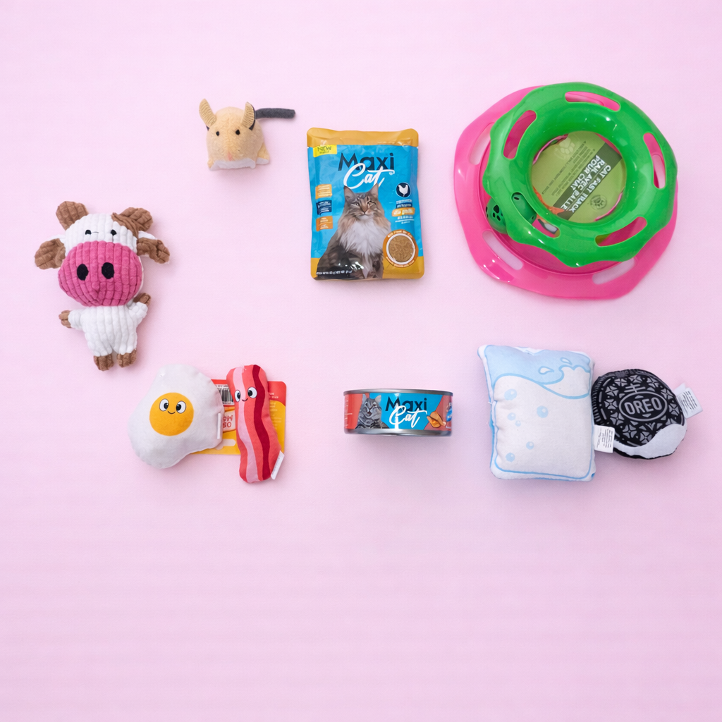 🐱✨ Petzy Box Cat Play Deluxe 🐾