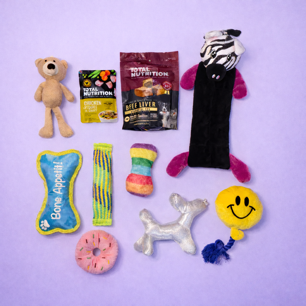 Teddy Fun Pack – Razas Pequeñas