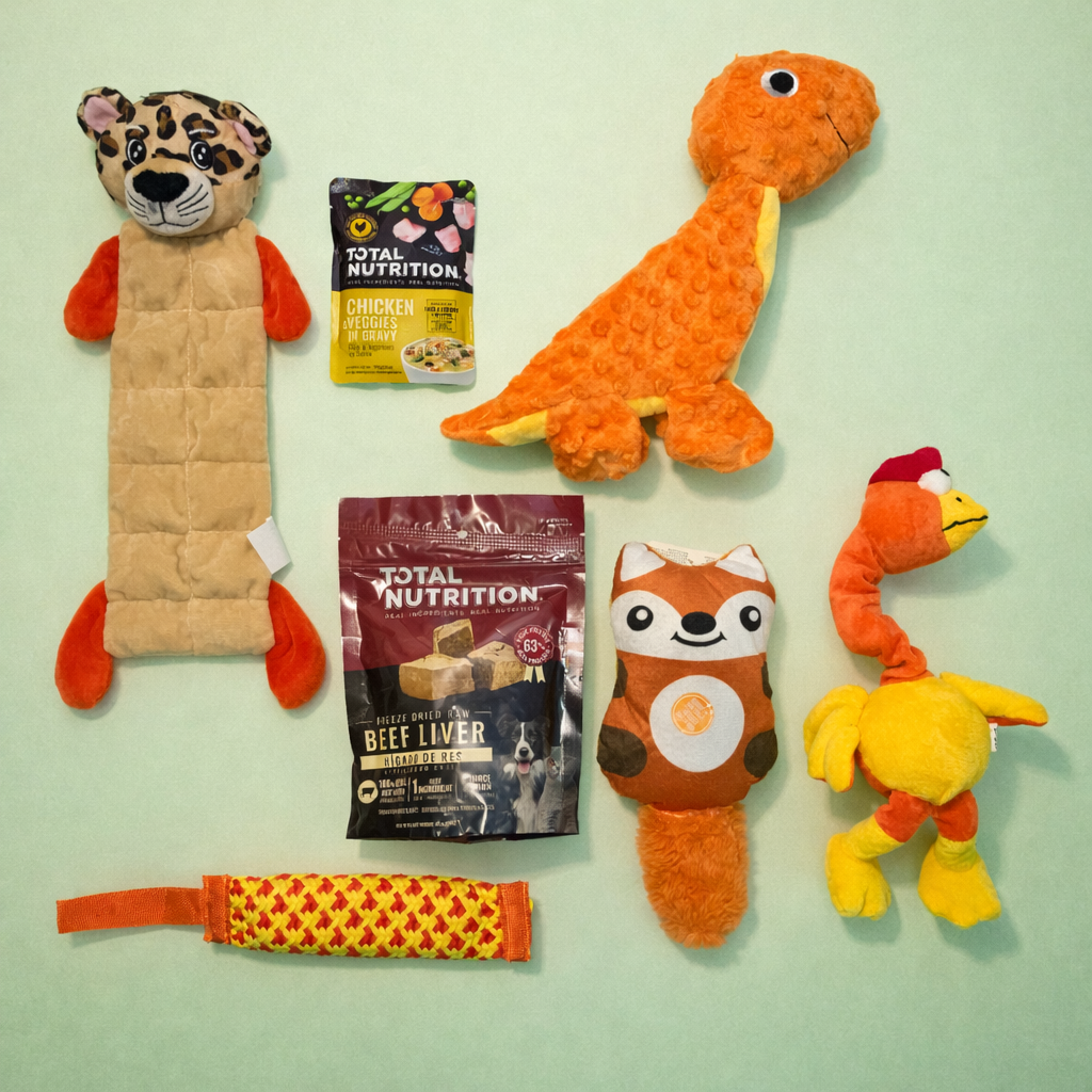 🧡 Orange Box 🐾