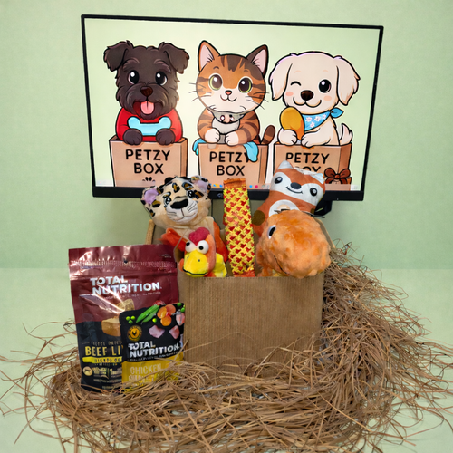 🧡 Orange Box 🐾