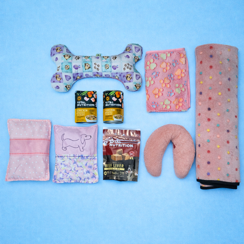 🐾 Sharing Box #1 – Razas Mediana + Pequeña 🐾