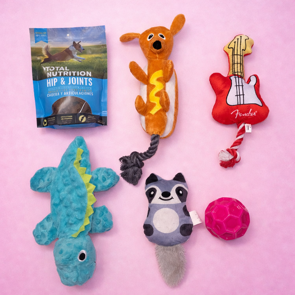 Rock & Play Box 🐶🎸