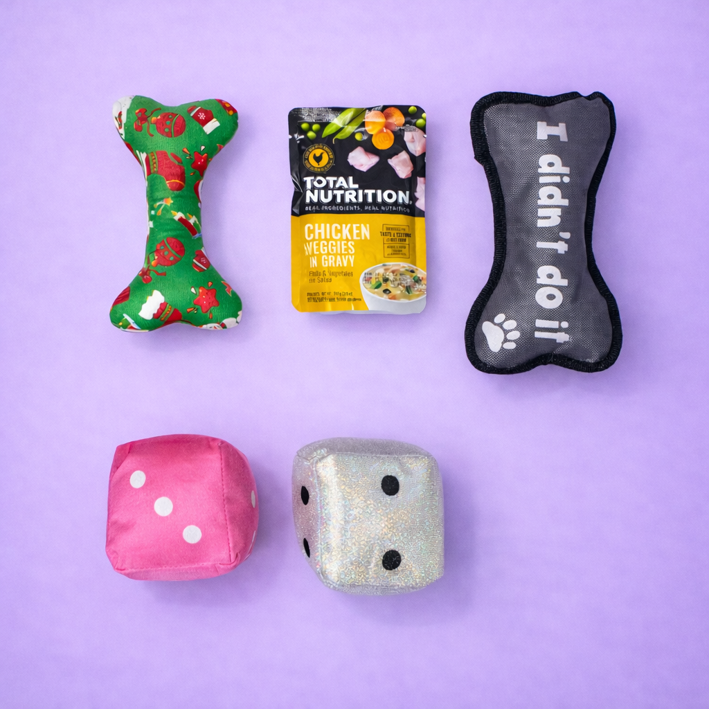 Holiday Bone Fun Box 🎲🎄