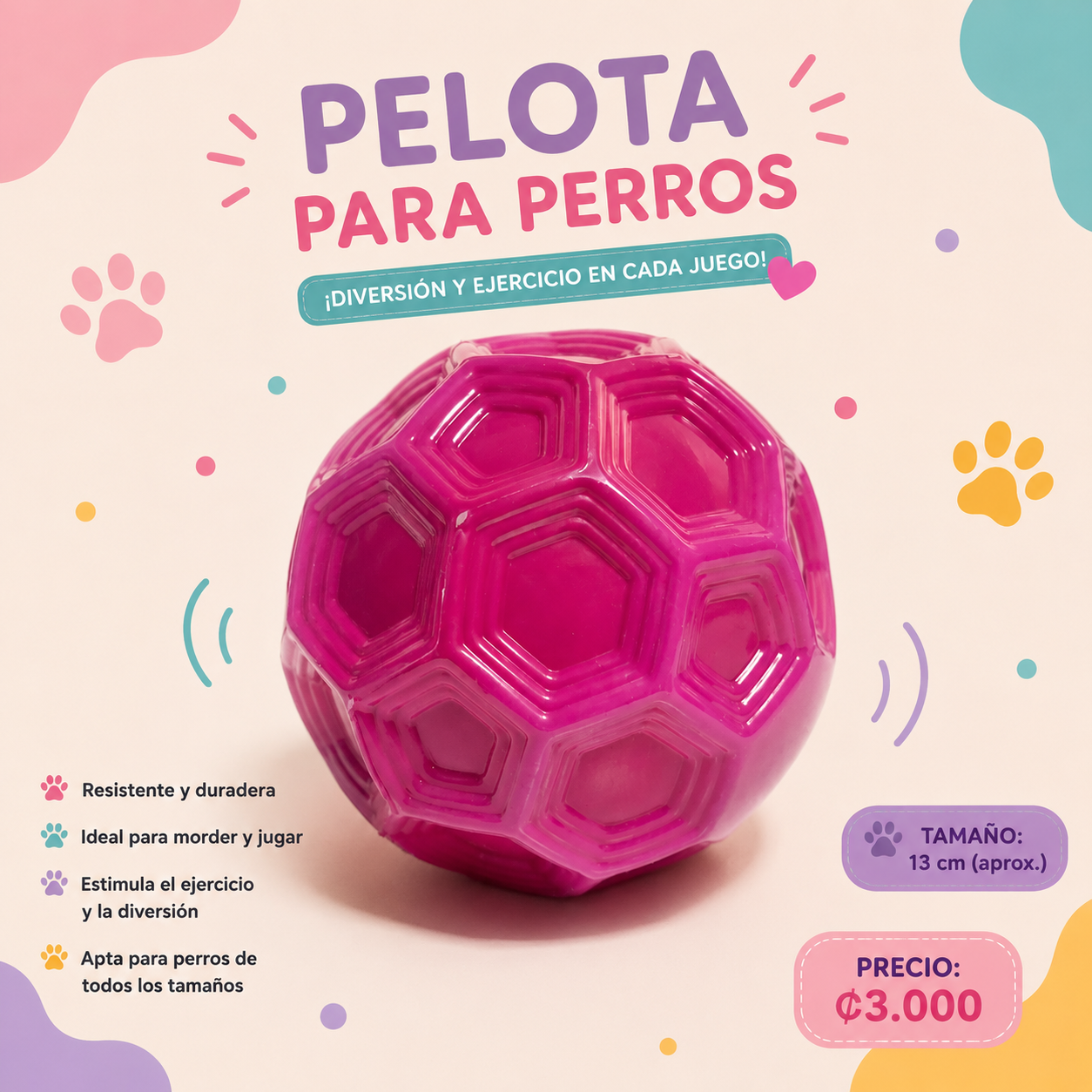 🐶 Pelota Saltarina para Perros