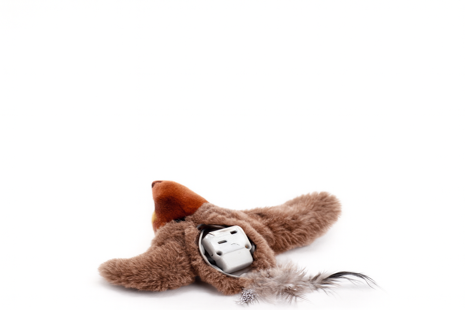 Pájaro interactivo para gatos