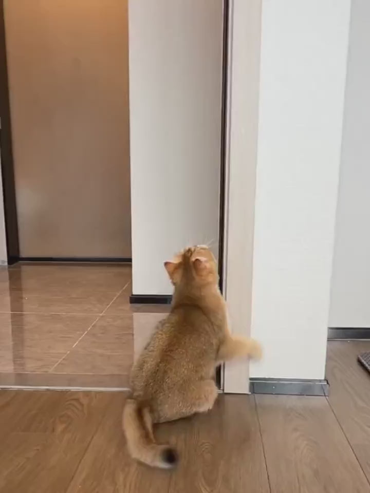 Juguete colgante interactivo para gato