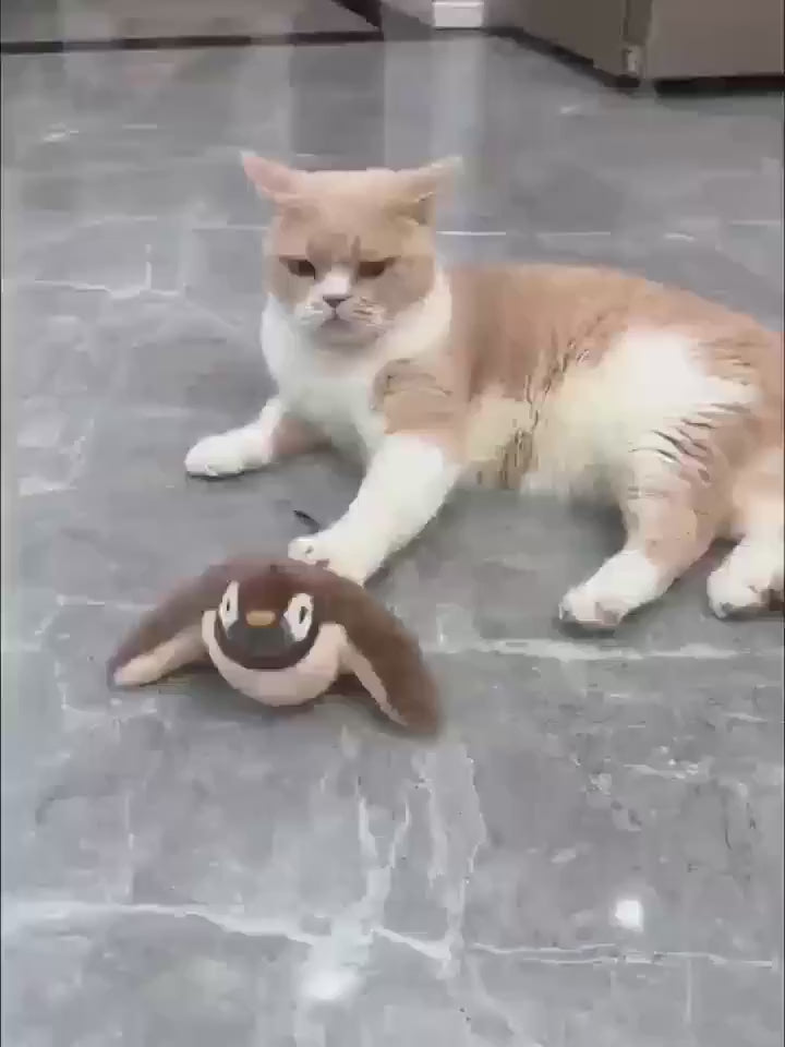 Pájaro interactivo para gatos